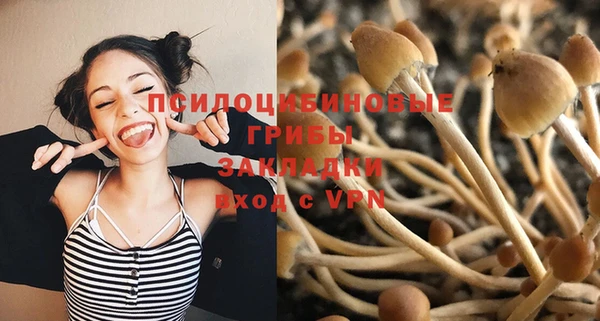 PSILOCYBIN Мегион