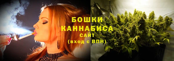 PSILOCYBIN Мегион